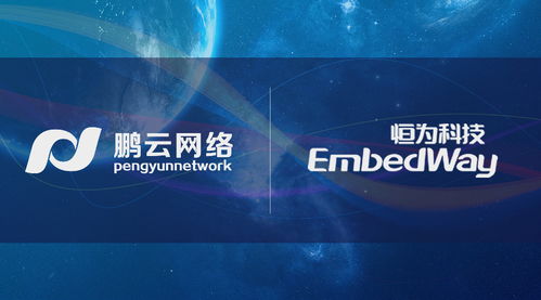 先行一步 鵬云網(wǎng)絡(luò)攜手恒為科技開展國產(chǎn)自主可控SDS前瞻性研究