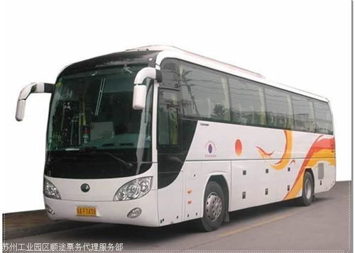 天津至惠州汽車出行全攻略 時刻查詢、站點指南與票務服務